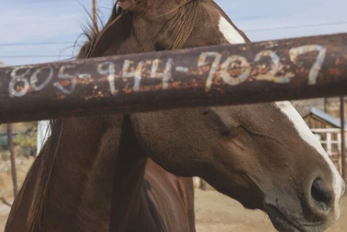 HUCK – An outsider's view on the American dream