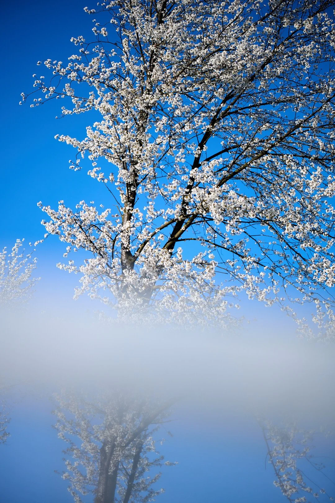 _DSC4485_DO 1.jpg