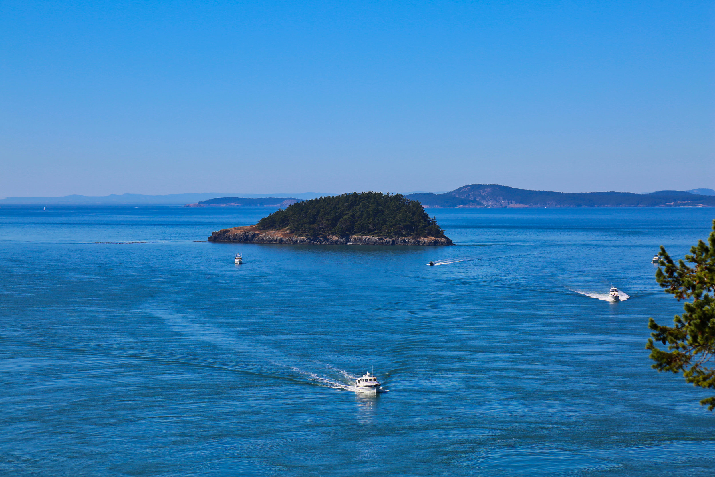 coming home tight.jpeg