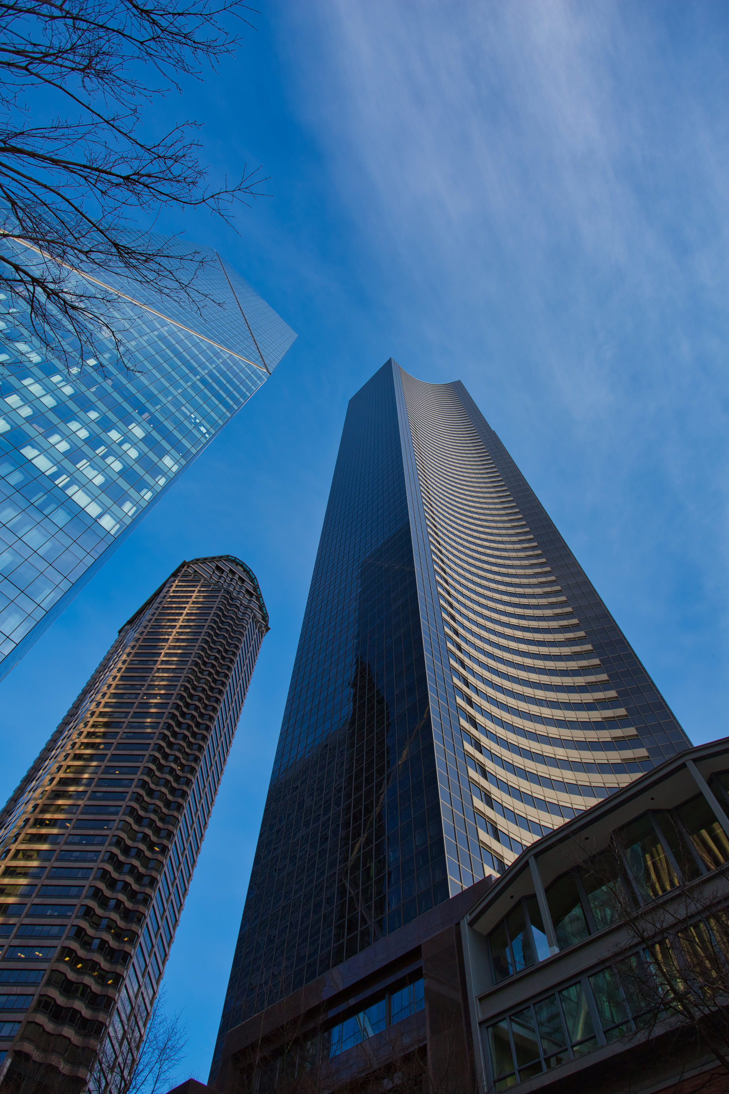 columbia tower upshot.jpeg