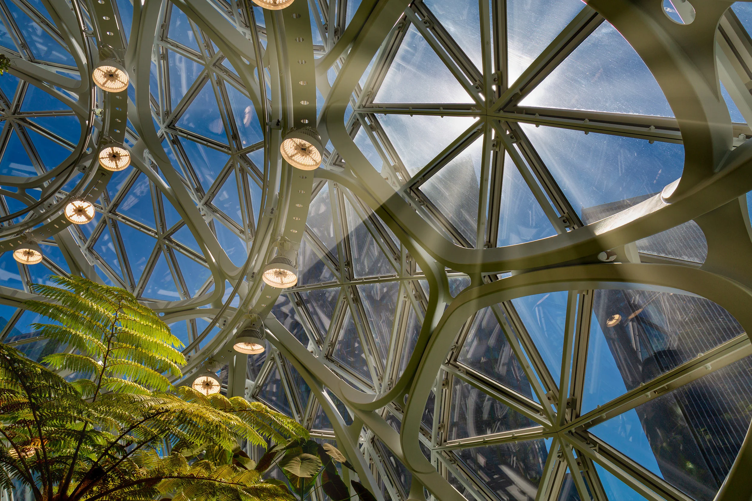 the spheres 3.1.jpeg