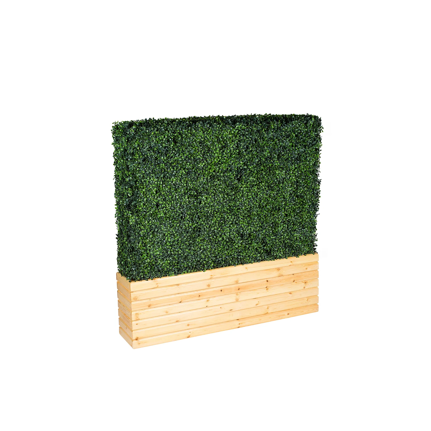 short_hedge_wall_natural1.jpg