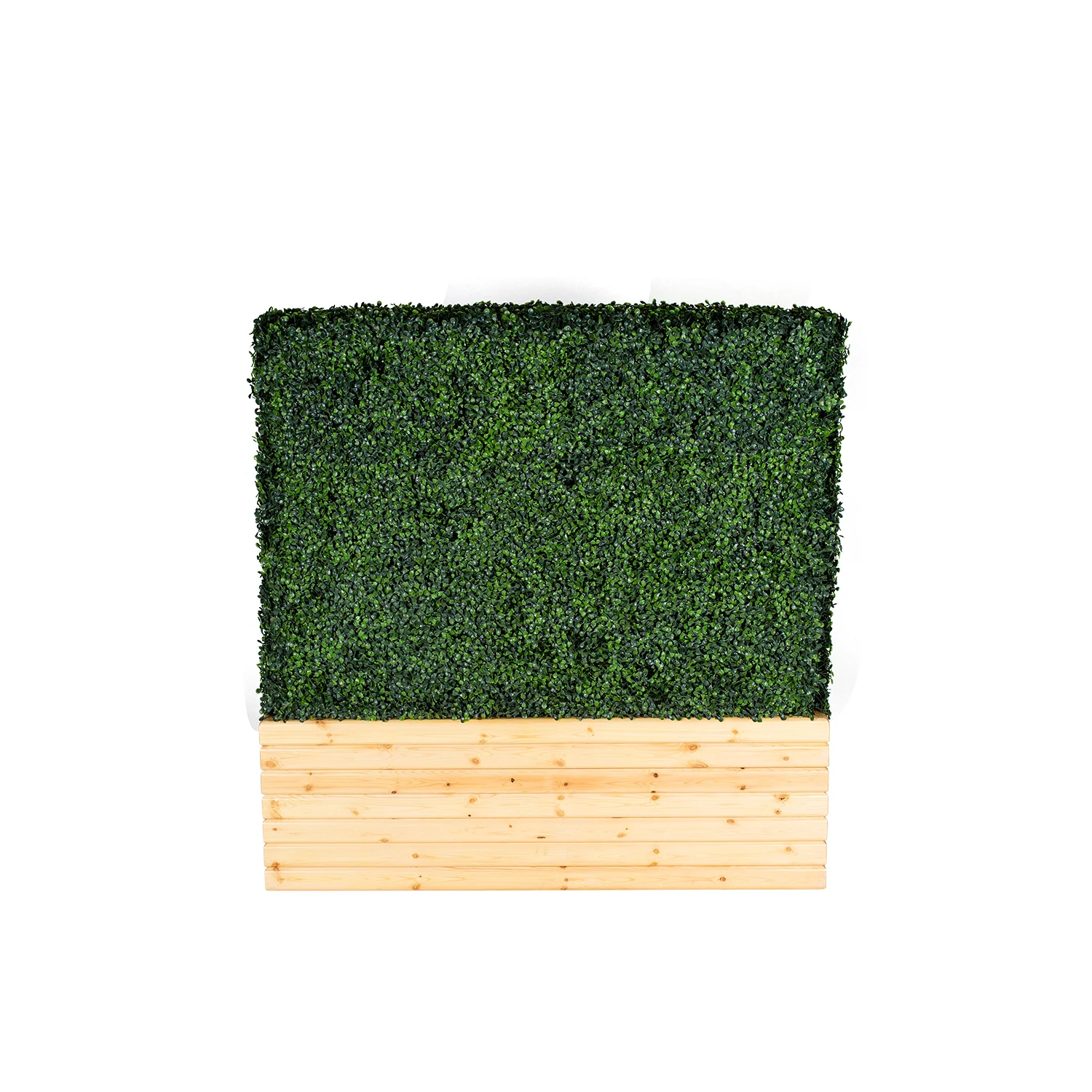 short_hedge_wall_natural2.jpg
