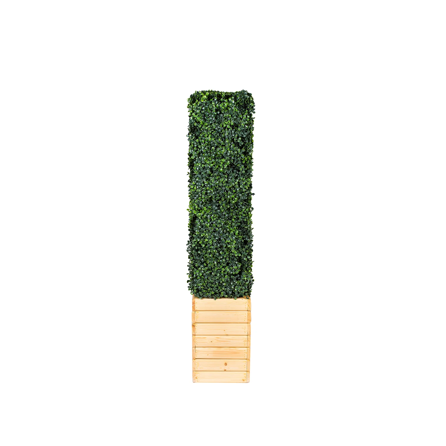 short_hedge_wall_natural3.jpg