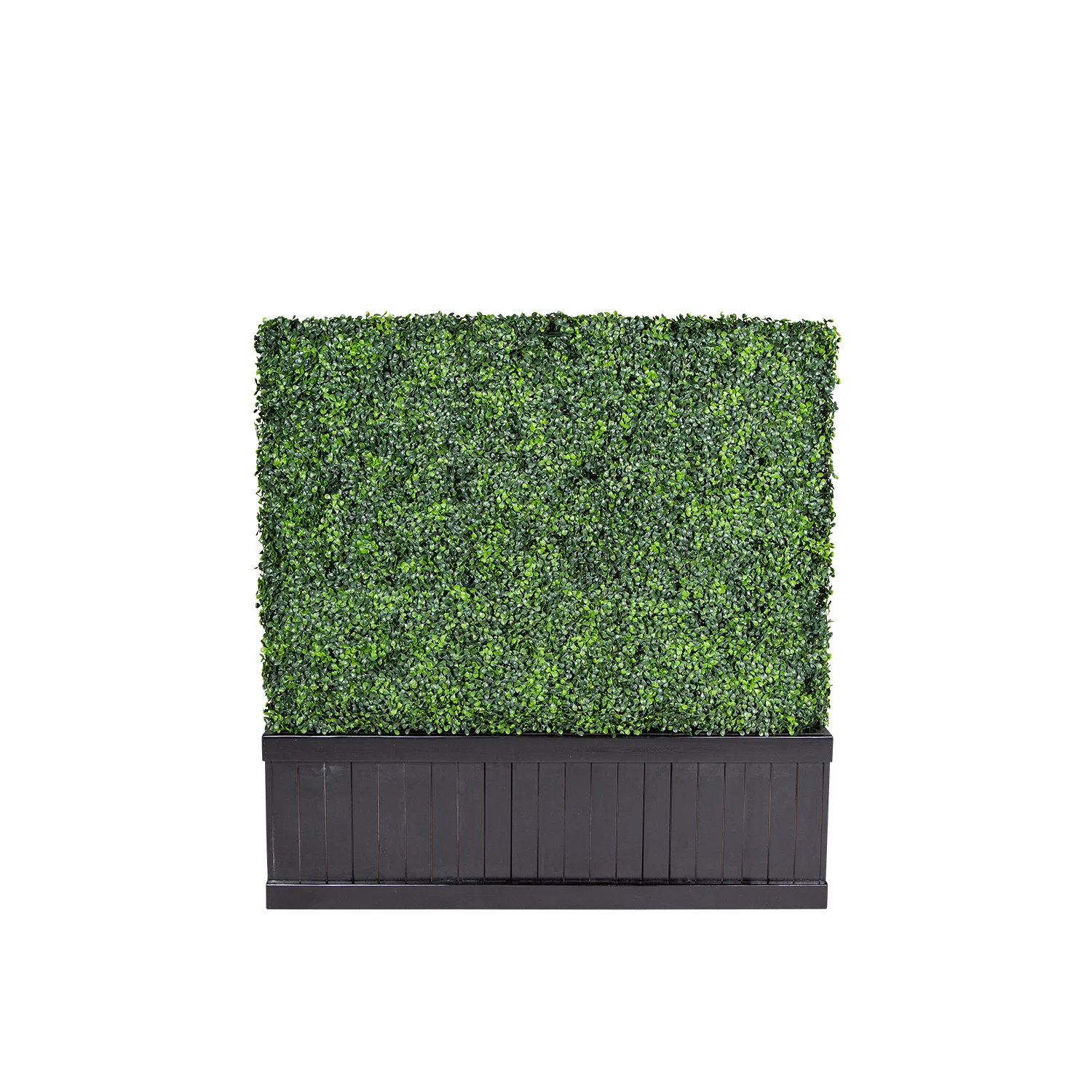 short_hedge_wall_black2.jpg
