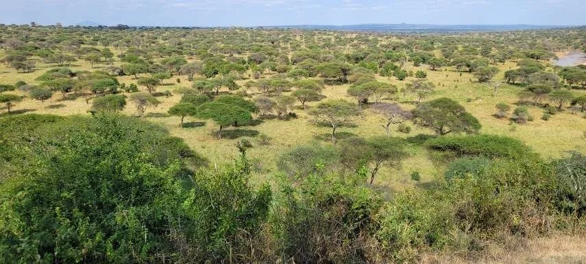 biodiversity of Tanzania