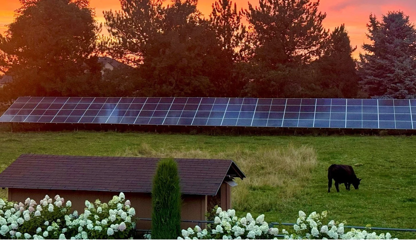 Solar for the Good of the World