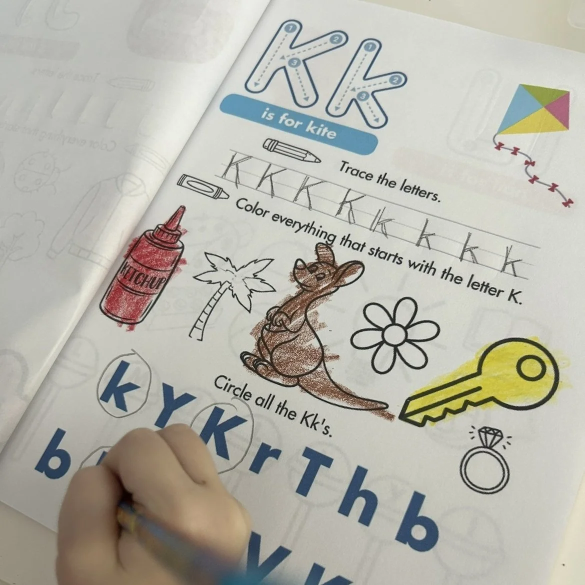 bottom test 2 (1).jpg