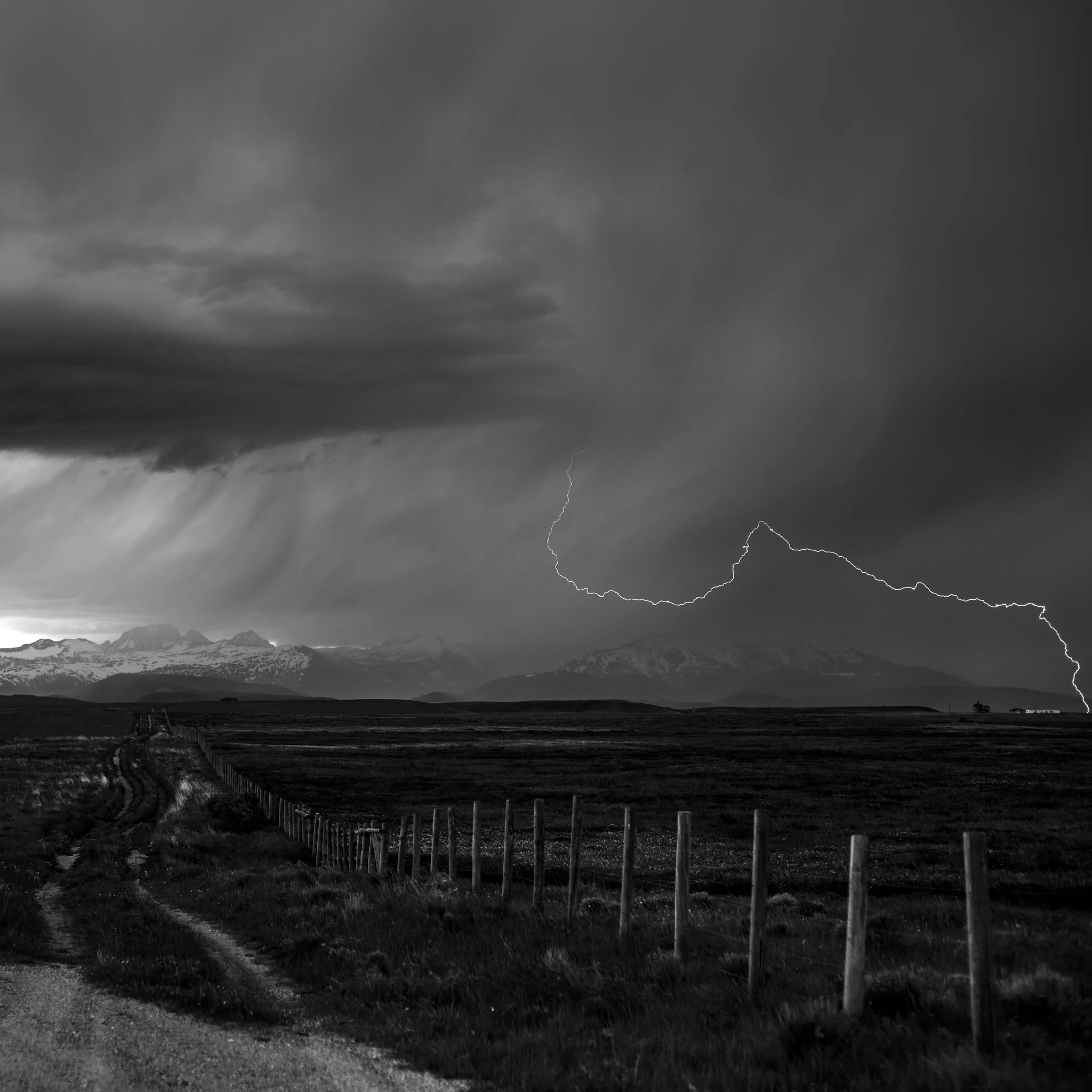 Powerlines No. 4