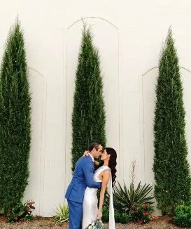 A couple dressed in wedding attire kissing outdoors surrounded by tall green trees and small plants.