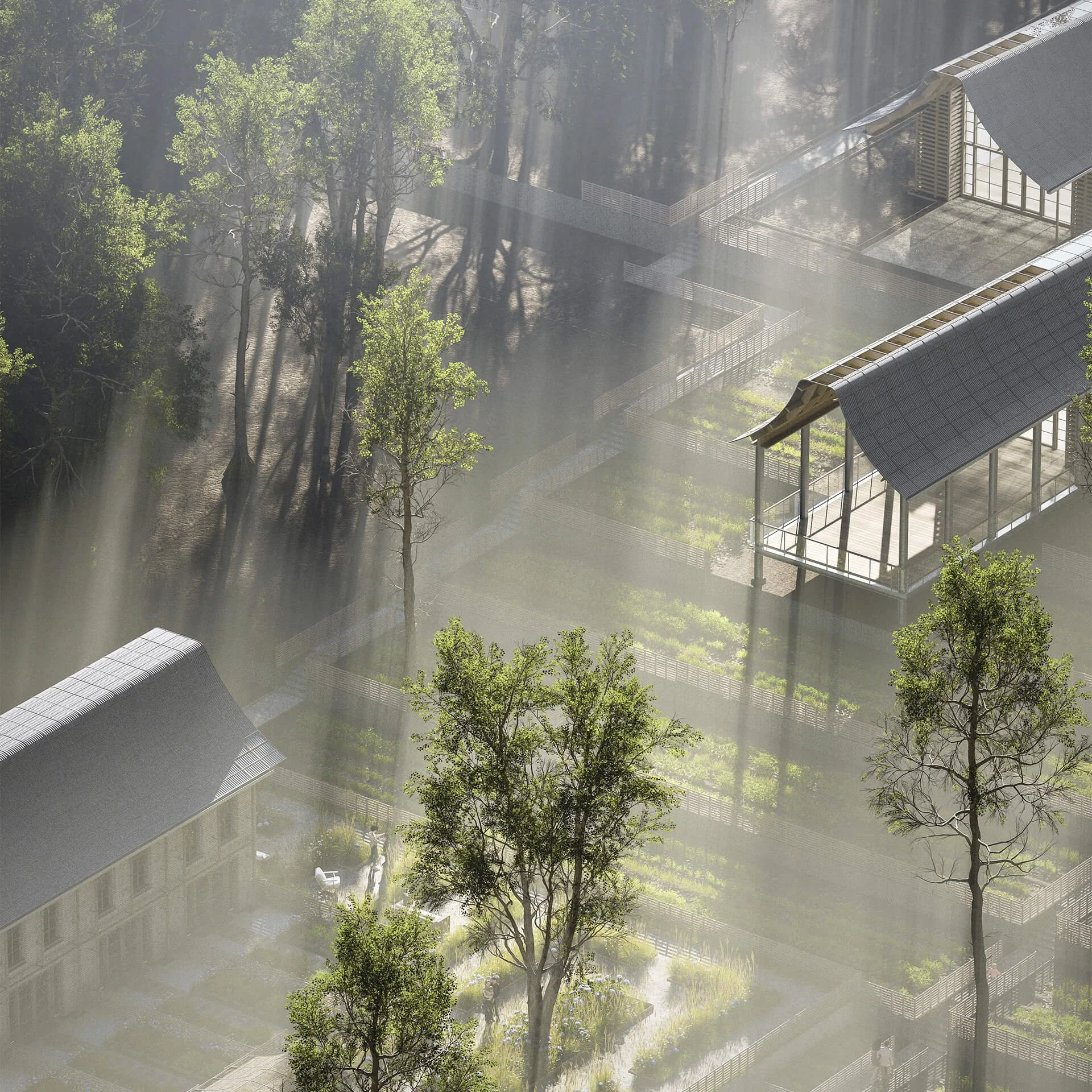  Tightening the Green Belt by Joe Russell 