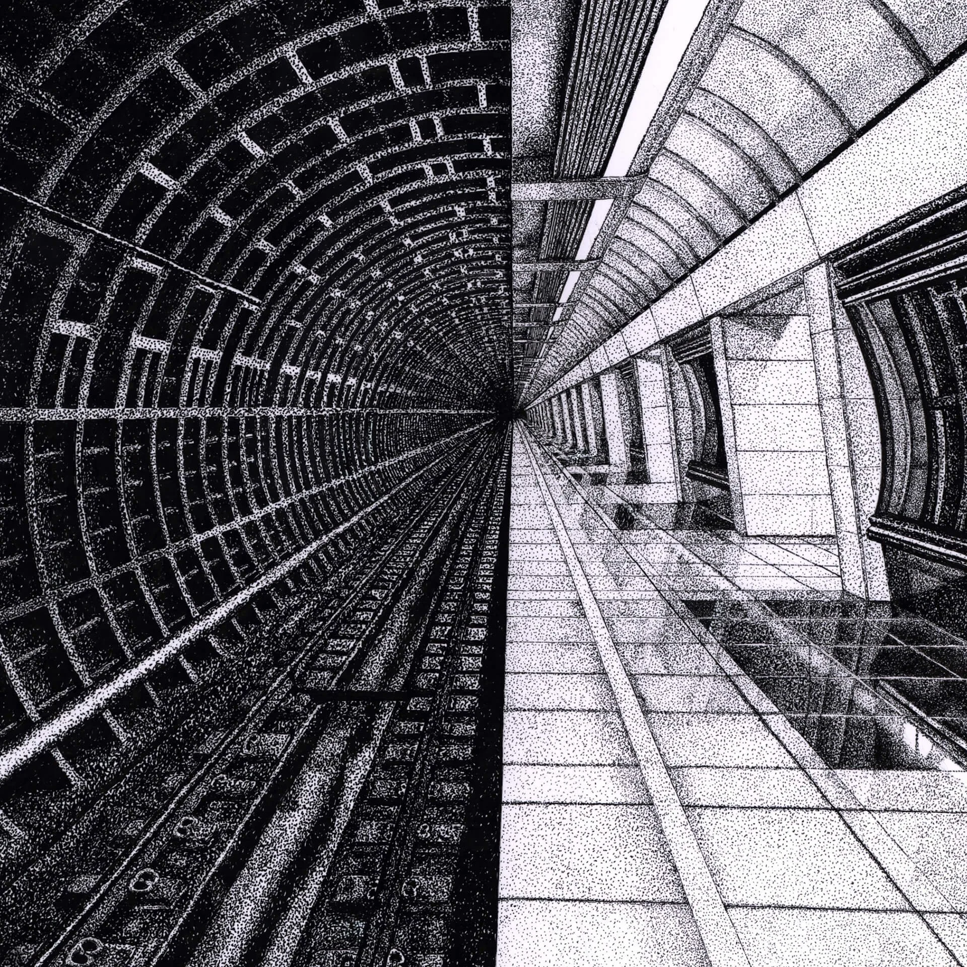  Liminal by Lyn Williams 