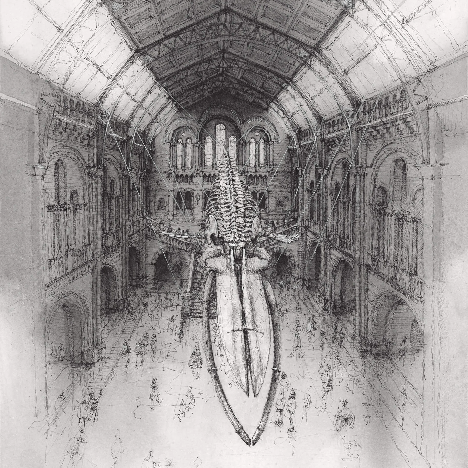  Pen and ink drawing of the Natural History Museum, London by Jimmy Wong 