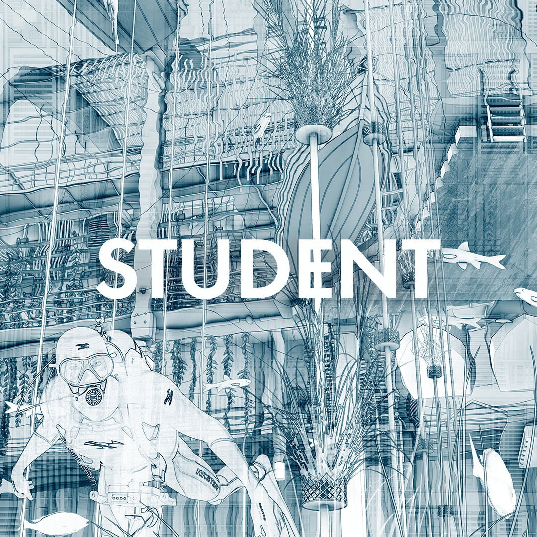 Drawing of the Year 2026 - Student Medal.png