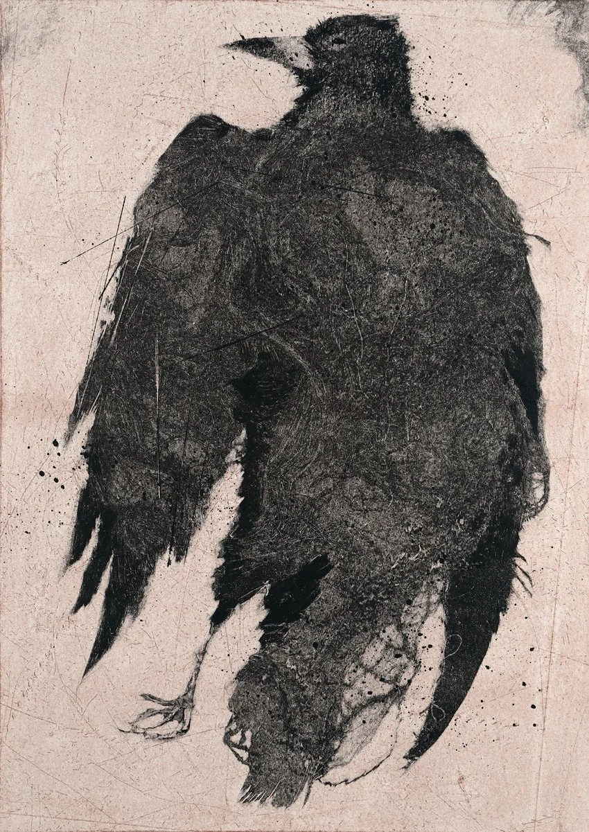 Sleeping Rook (crop).jpg