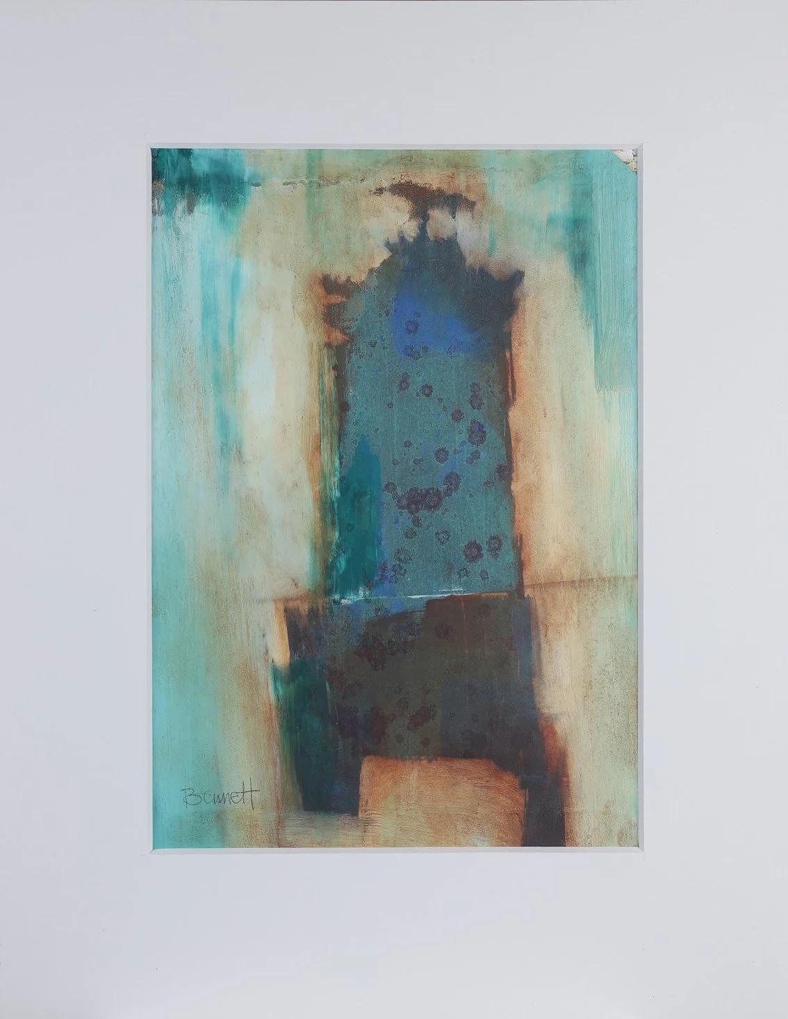 Misty Perch(in mount).jpg