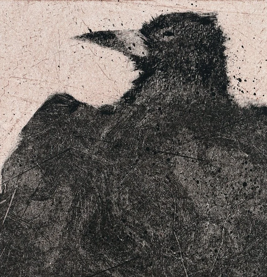 Sleeping Rook (detail 1).jpg