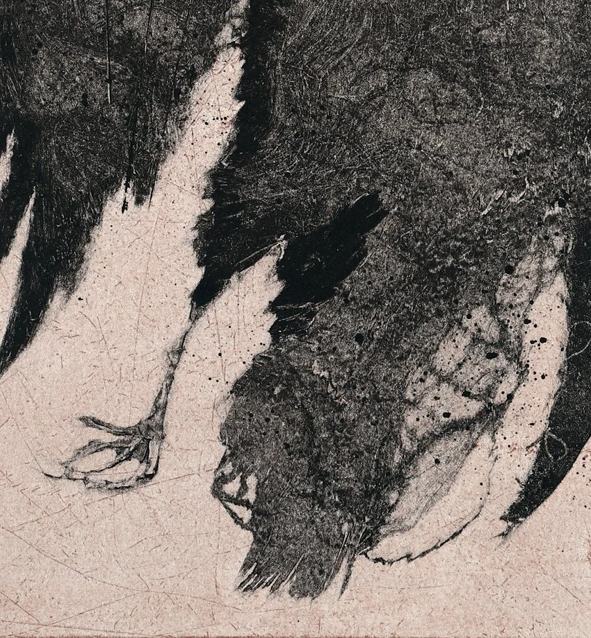 Sleeping Rook (detail 2).jpg