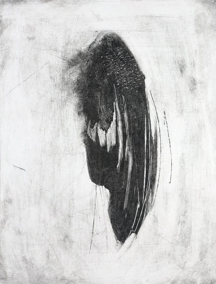 Jay Wing (study I) crop.jpg
