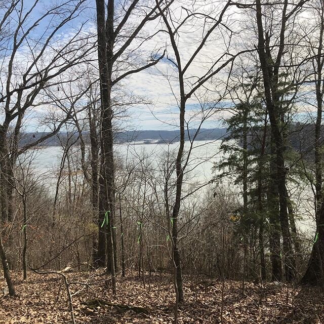 View from a site visit today. Excited to get this project started. #watershollandbuilders #watersholland #newconstruction #lakeview #chattanooga