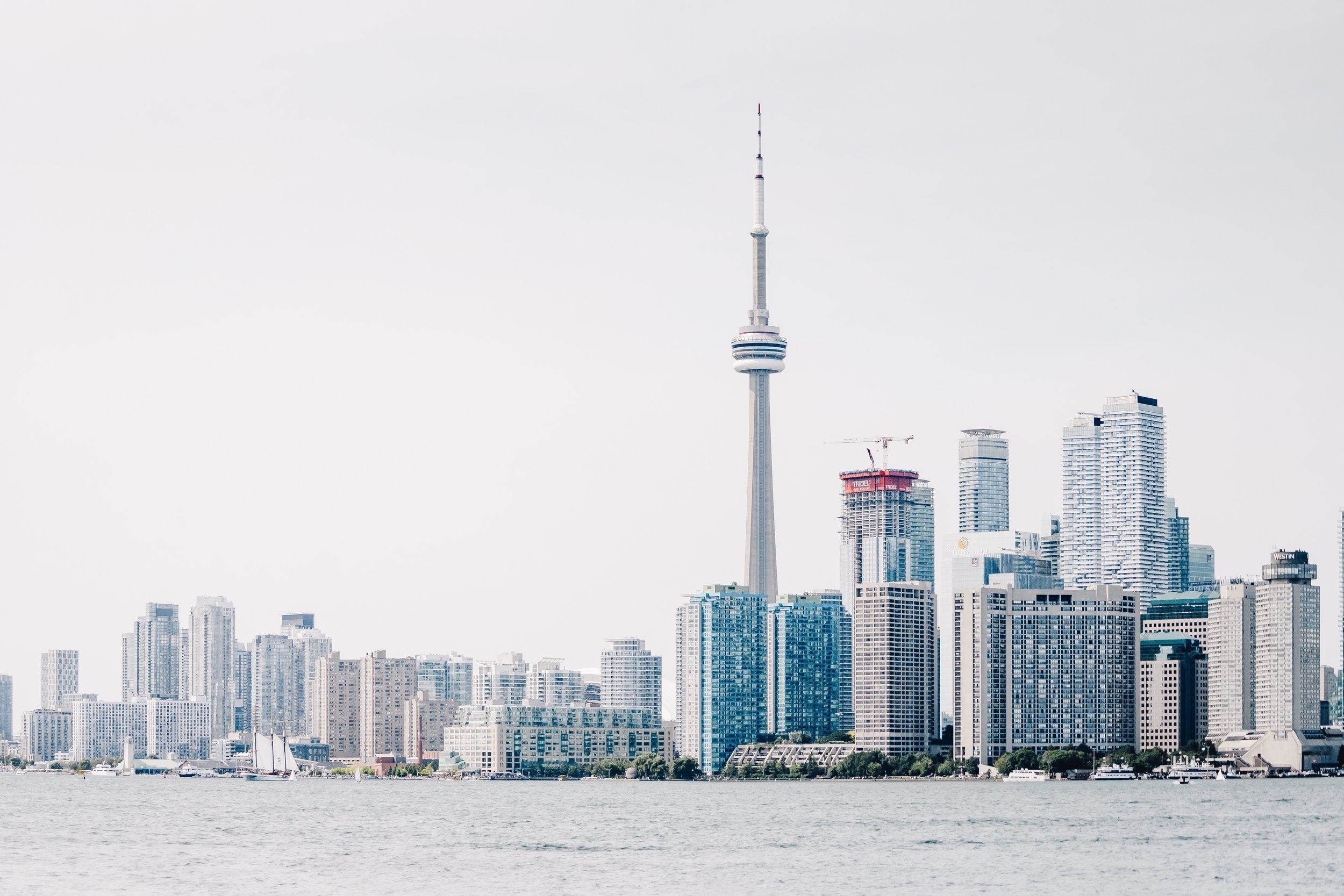 scott-webb-667878-unsplash.jpg