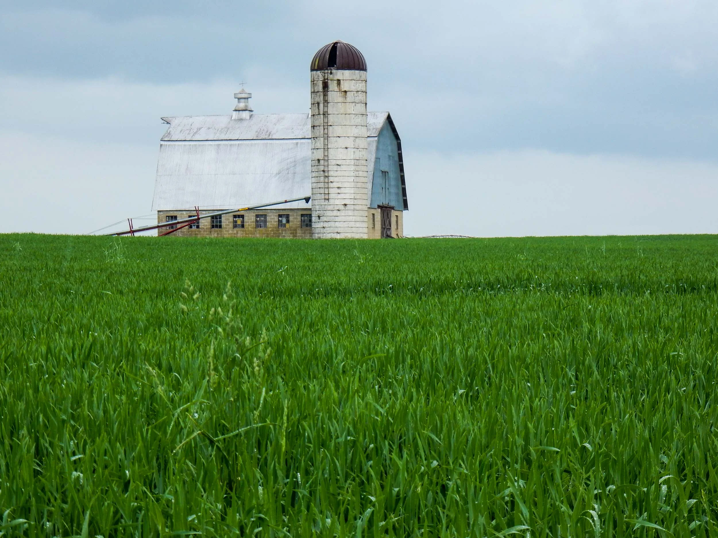 Lockman_(barn)_001.jpg