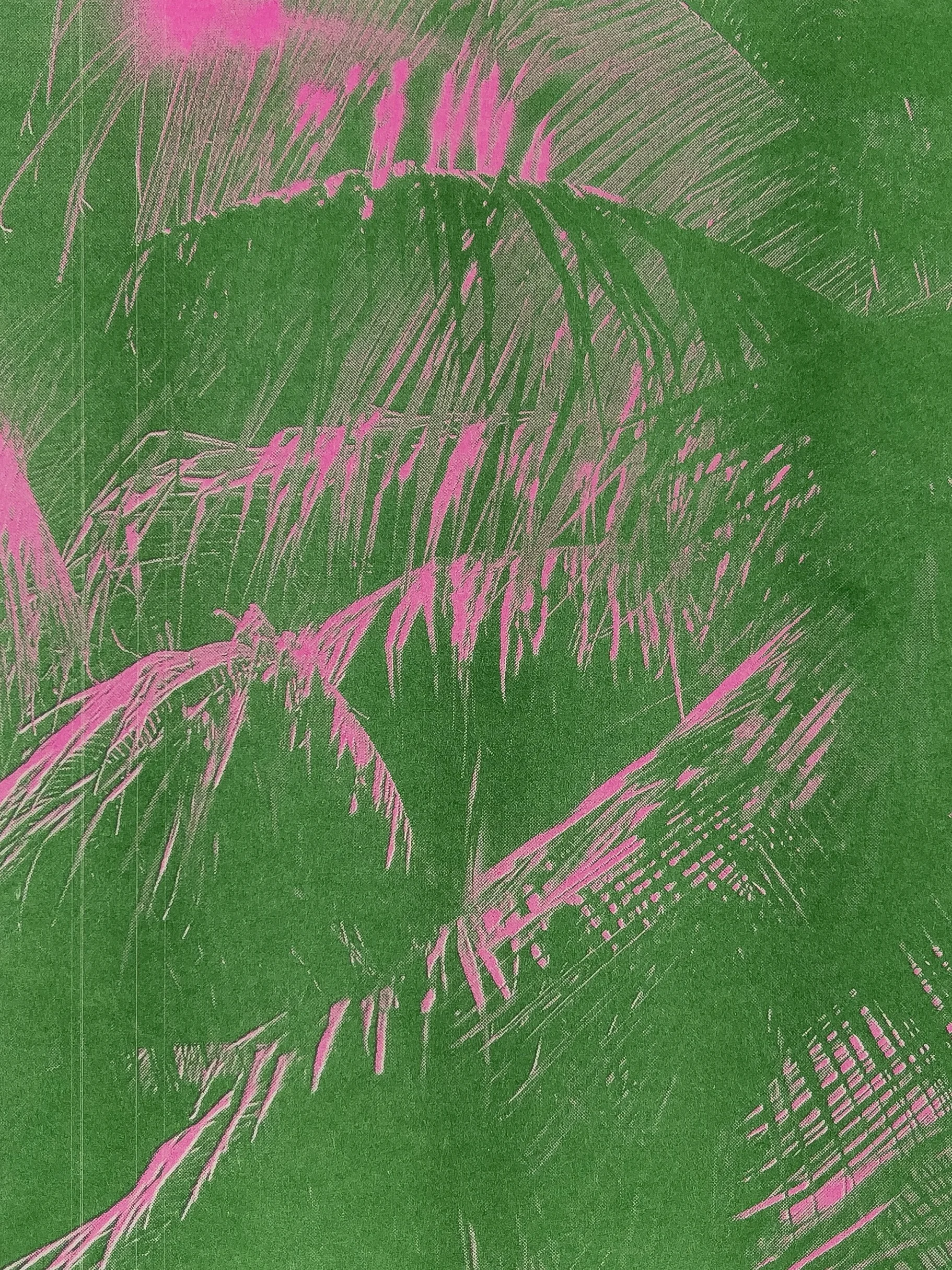 South Beach_Flo Pink_Green.jpg