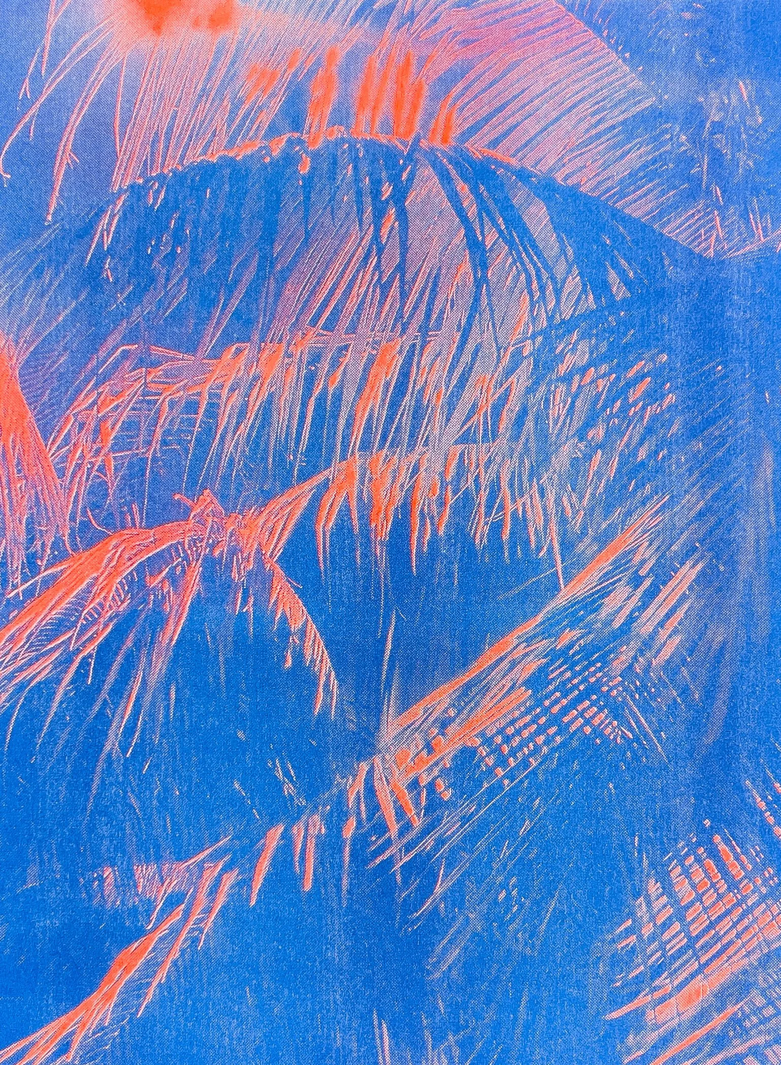 South Beach Sultry_Orange_Blue.jpg