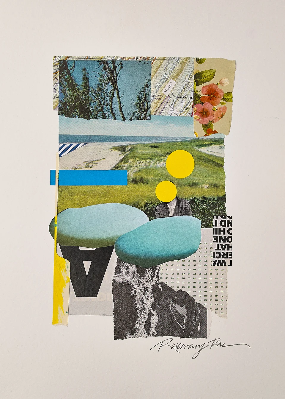 Reader Link 247238 blue collage.jpg