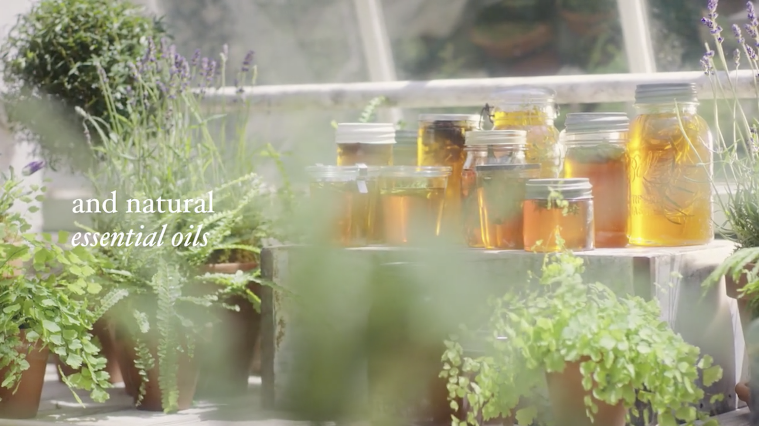 Screen Shot 2018-06-12 at 11.59.43 AM.png