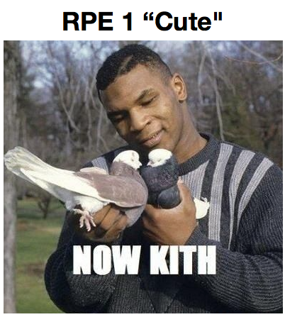 ★★★ Mike Tyson’s RPE Chart