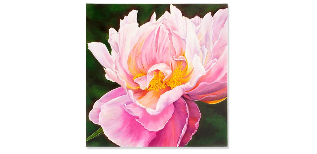 Tree Peony