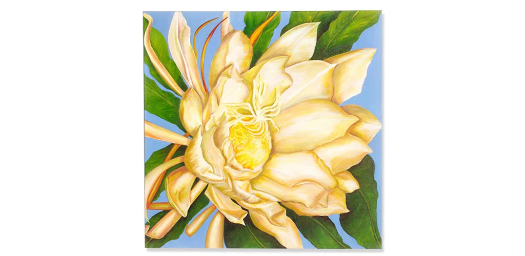 Night Blooming Cereus