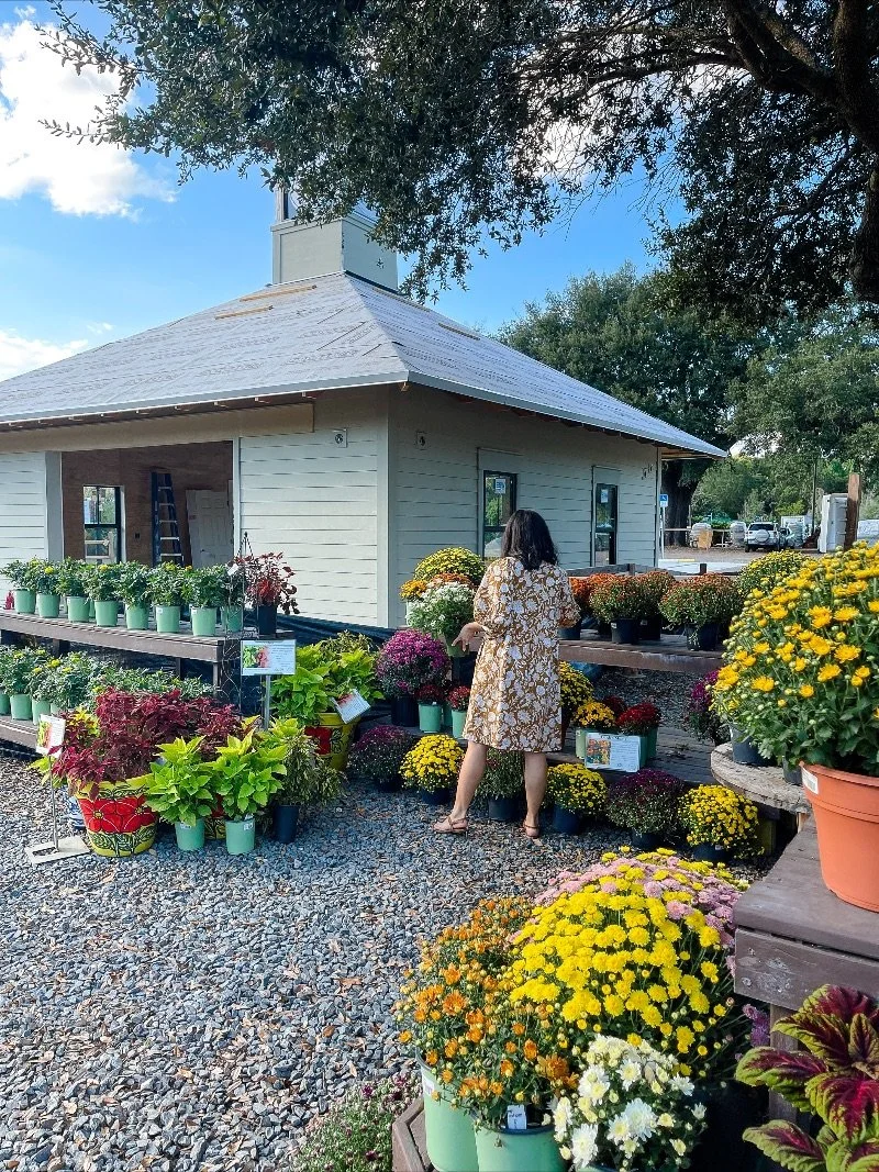 How to Stop Taking the Bait of Anxiety