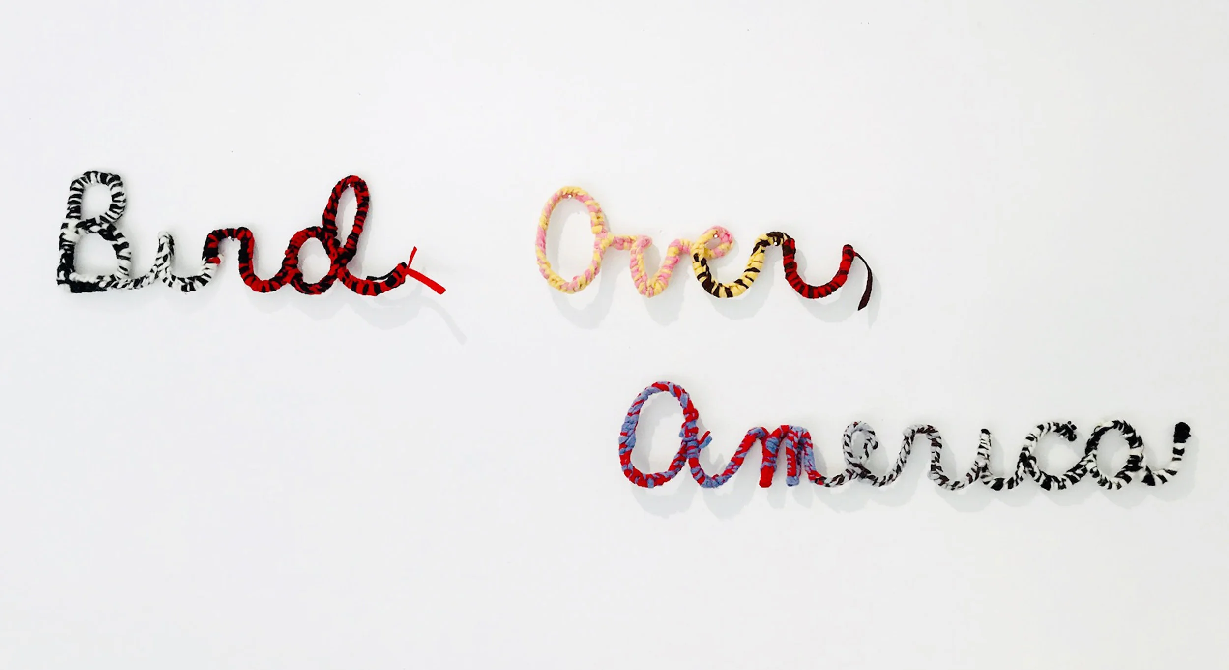 Bird Over America.jpg