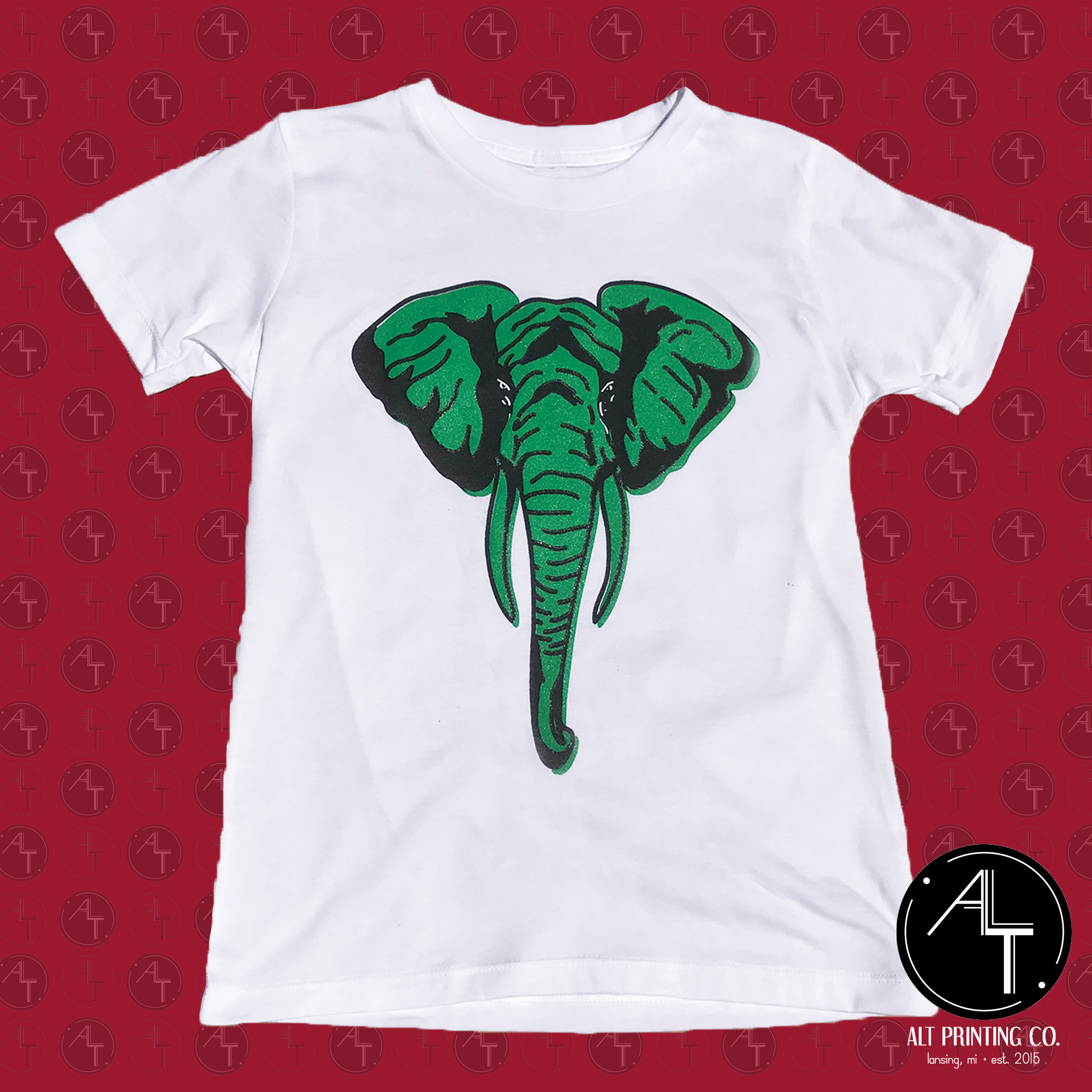 ElephantSquarespacePhoto.jpg