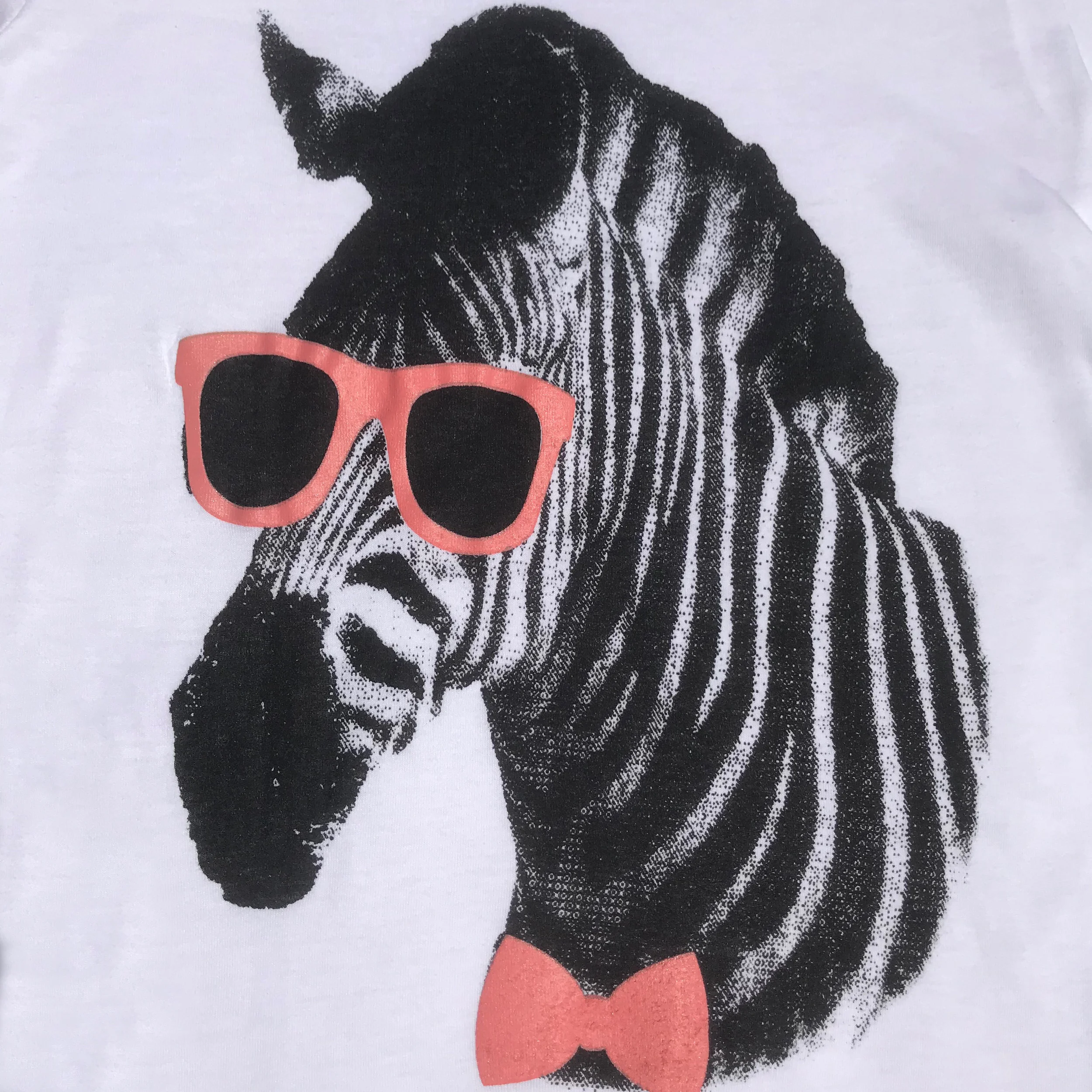 ZebraPinkDetail1.jpg