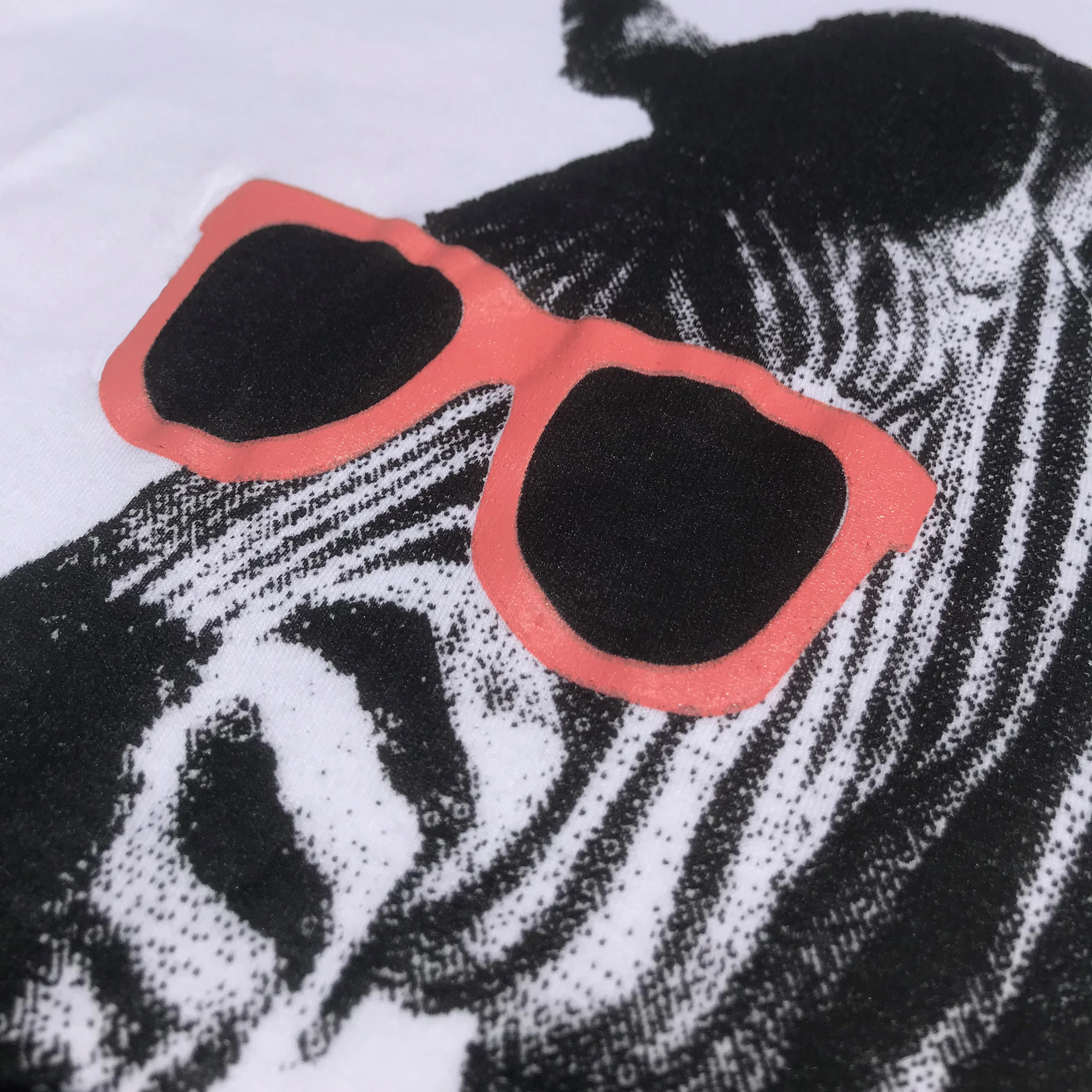 ZebraPinkDetail2.jpg