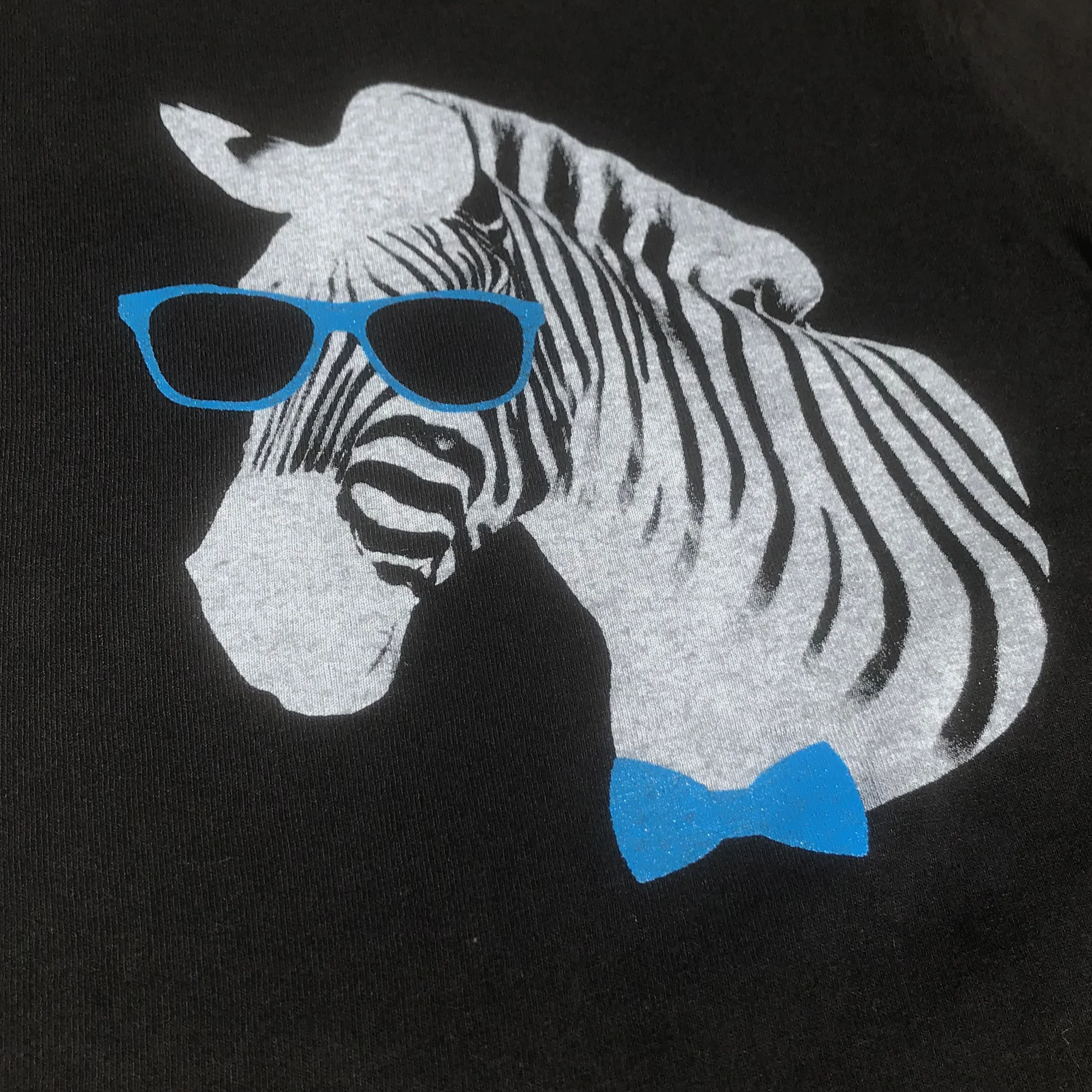 ZebraBabyBlueDetail2.jpg