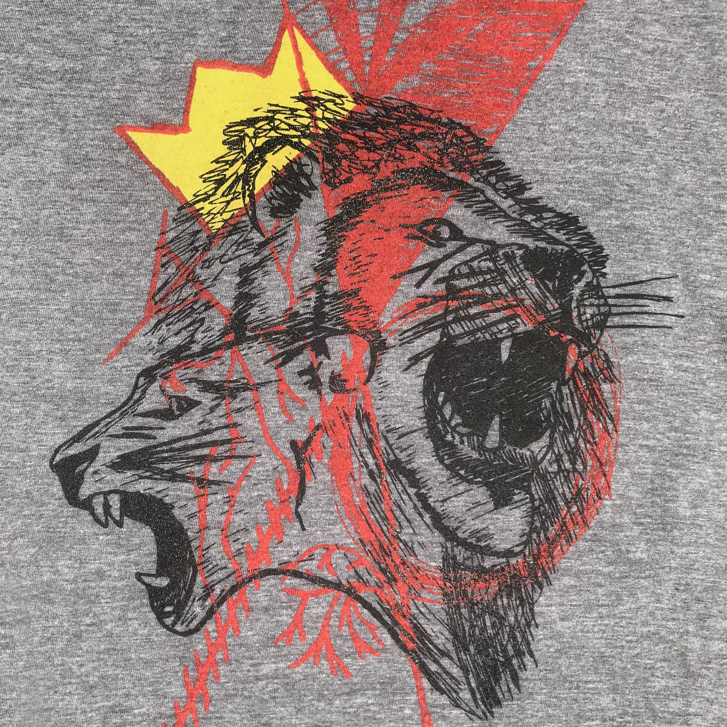 LionDetail1.jpg