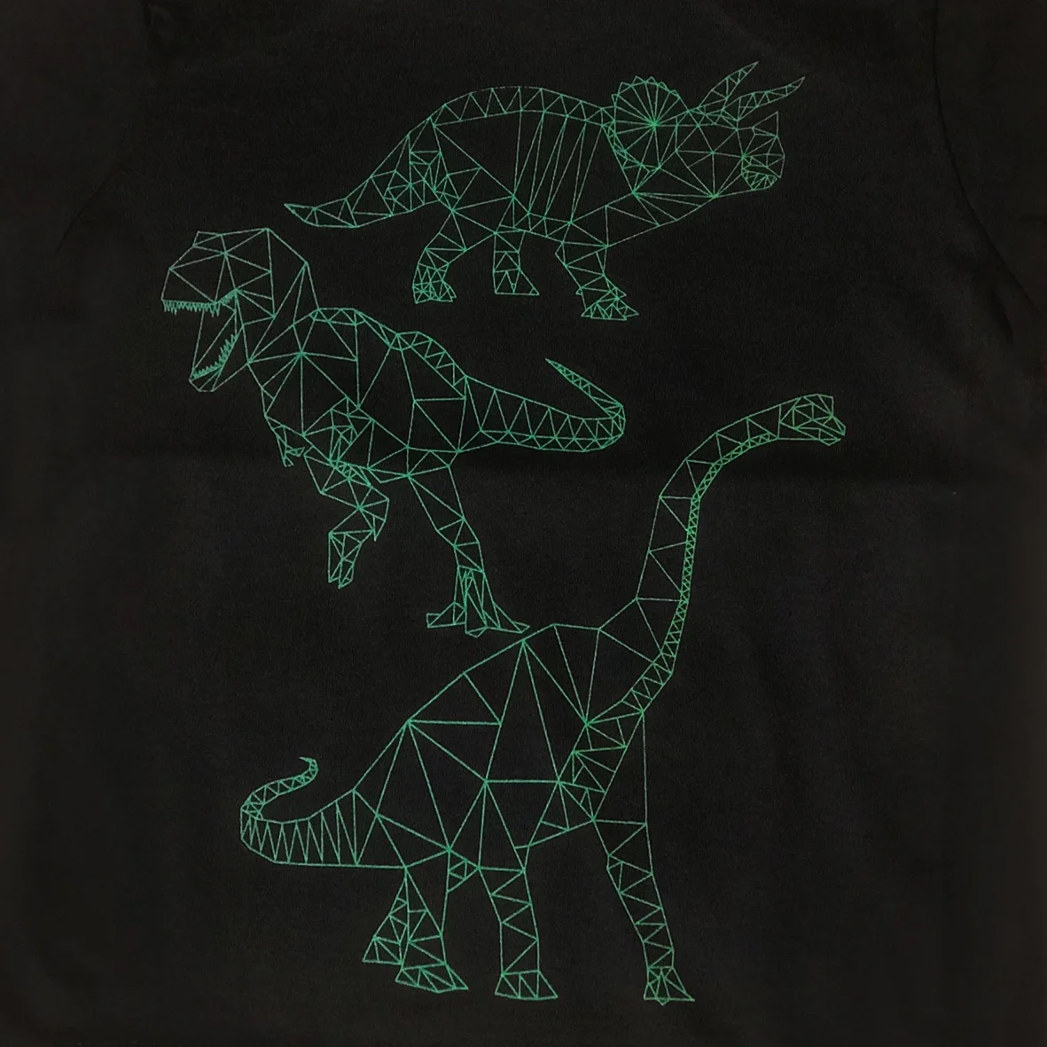 DinoDetail1.jpg