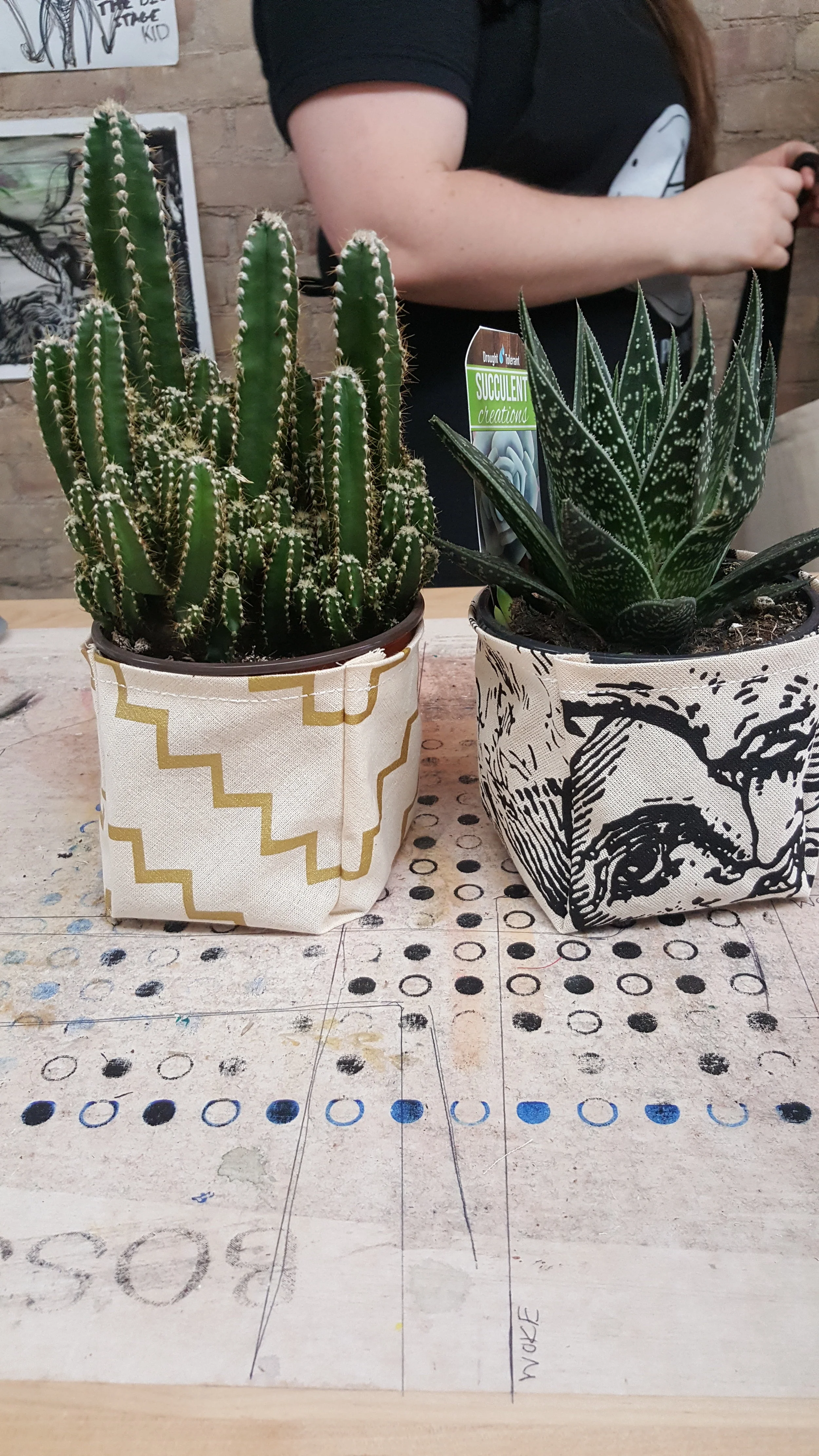 20190518_191247.jpg