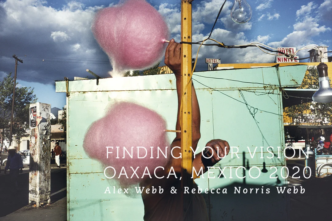 アート・デザイン・音楽 Alessandra Sanguinetti Alessandra Sanguinetti - The Adventures of Guille and Belinda and