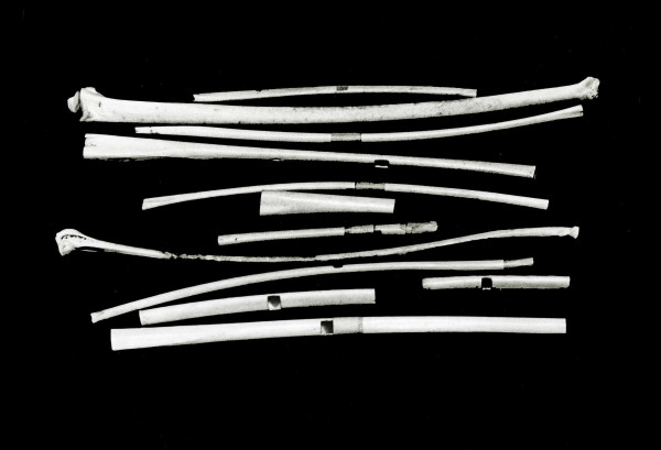 Bird Bone Whistles,1973
