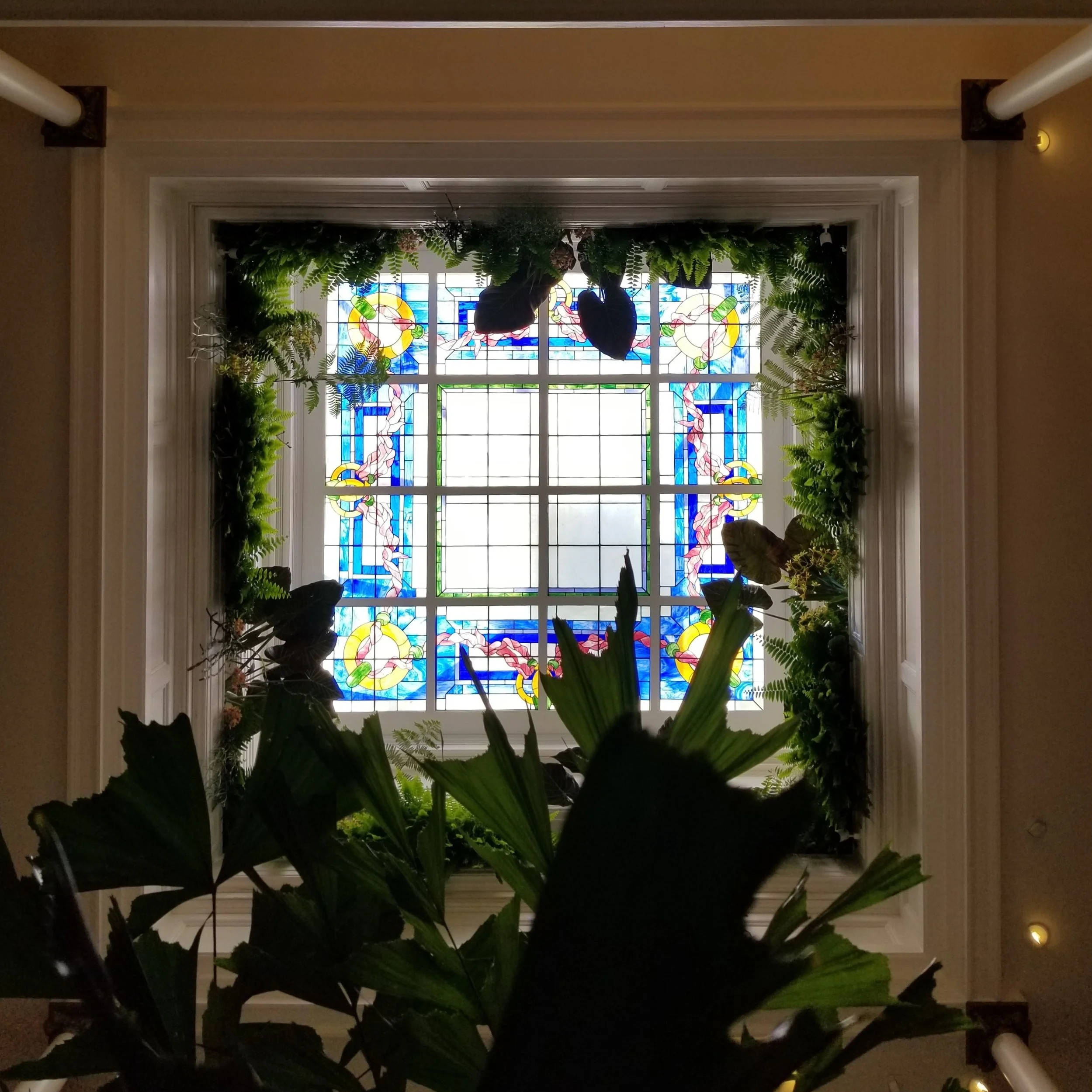 The Skylight Conservatory by Brandon Pruitt Design was swimming in the light from the main atrium skylight.