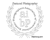 AIBP featured award.png