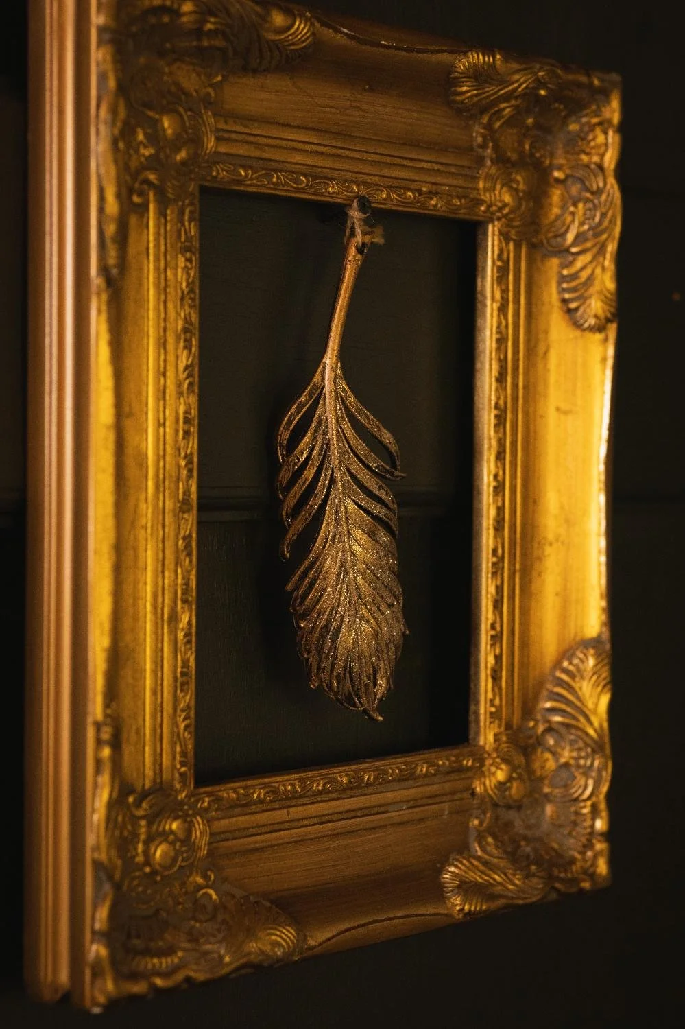 Indigo Mountain Traders luxury-branding-photographer-north-carolina by Graciela Laurent 11.jpg