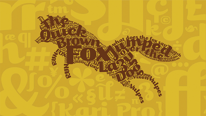 nash-portfolio-karipro-2.png