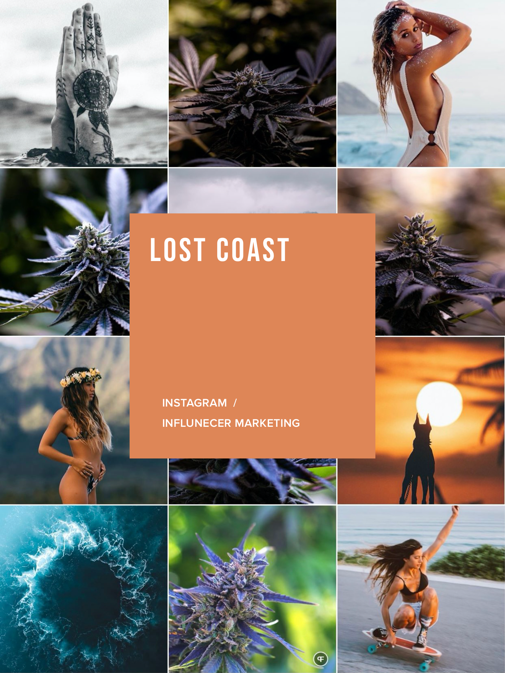 Lost Coast