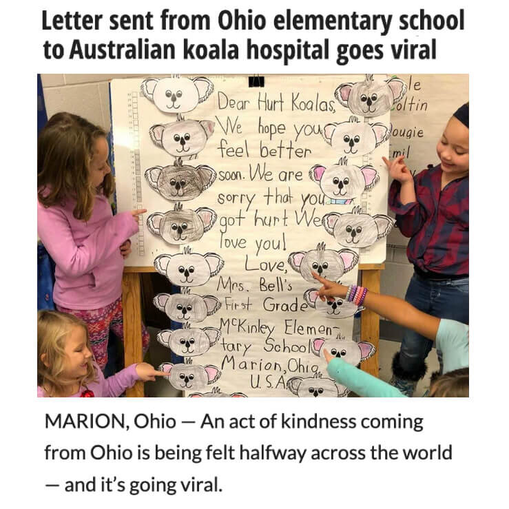 Letter to Koalas